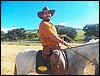 100_0801.JPG