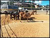 100_0804.JPG