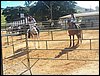 100_0815.JPG