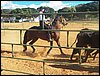 100_0818.JPG