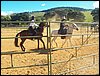 100_0823.JPG