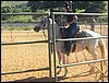 100_0827.JPG