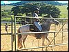 100_0828.JPG