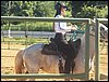 100_0832.JPG