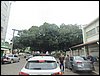 P4010064.JPG