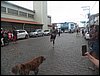 101_0139.JPG