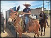 100_0312.JPG