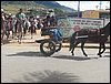 100_0342.JPG