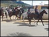 100_0344.JPG