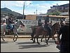 100_0348.JPG