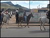 100_0352.JPG