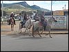 100_0354.JPG