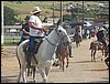 100_0356.JPG