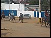 100_0379.JPG