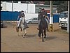 100_0384.JPG
