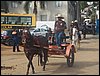 100_0391.JPG