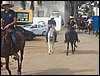 100_0393.JPG