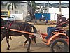 100_0395.JPG