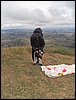 100_0248.JPG