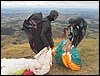 100_0251.JPG