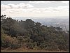 100_0327.JPG