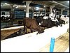 101_0739.JPG