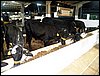 101_0749.JPG