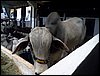 101_0761.JPG