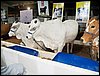 101_0773.JPG