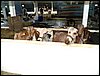 101_0783.JPG