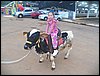 101_1130.JPG