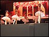 101_1347.JPG